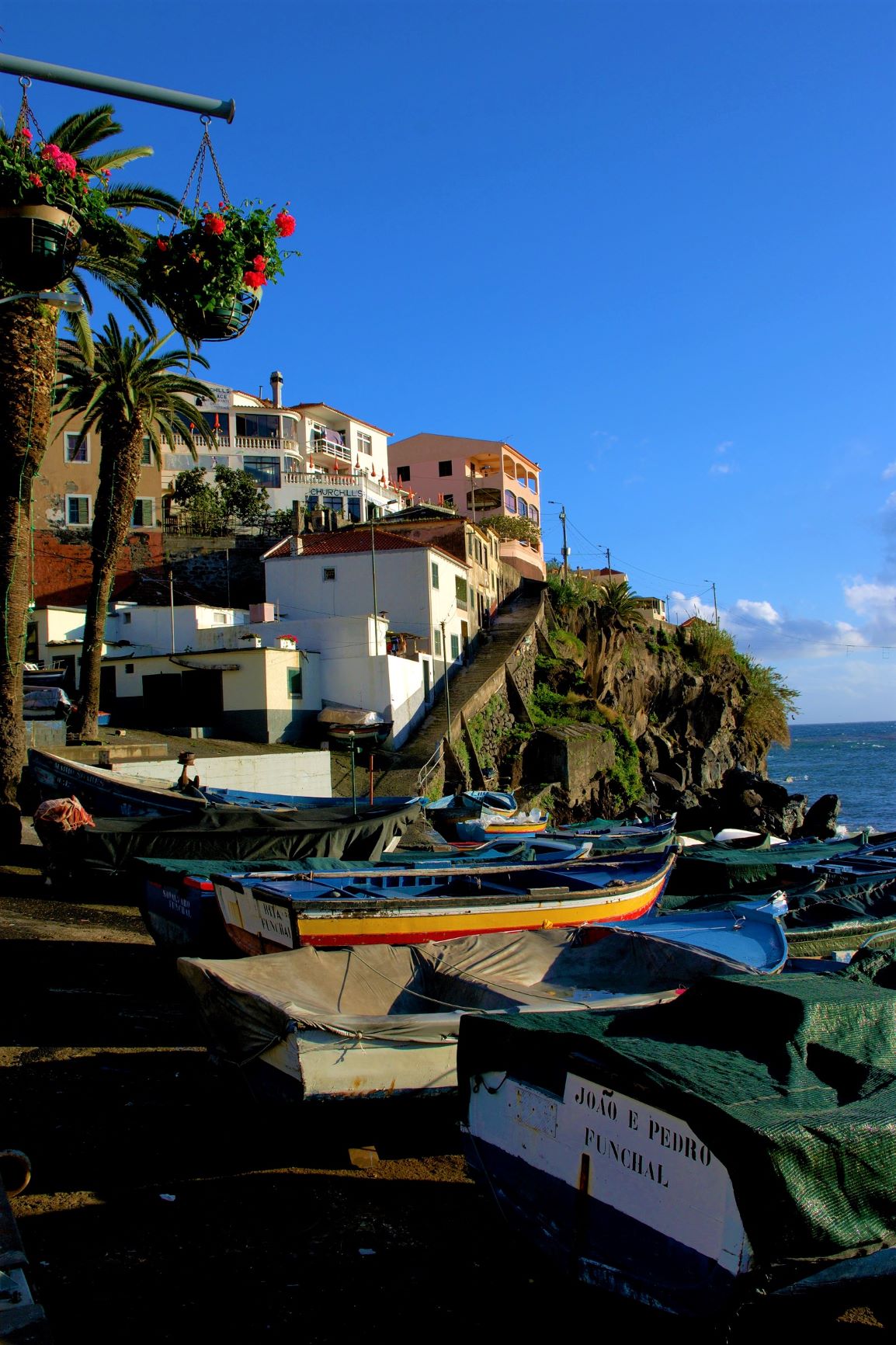 花籠の町マデイラ島 華やかさと素朴さを求めて ポルトガル Voyage 世界見聞録