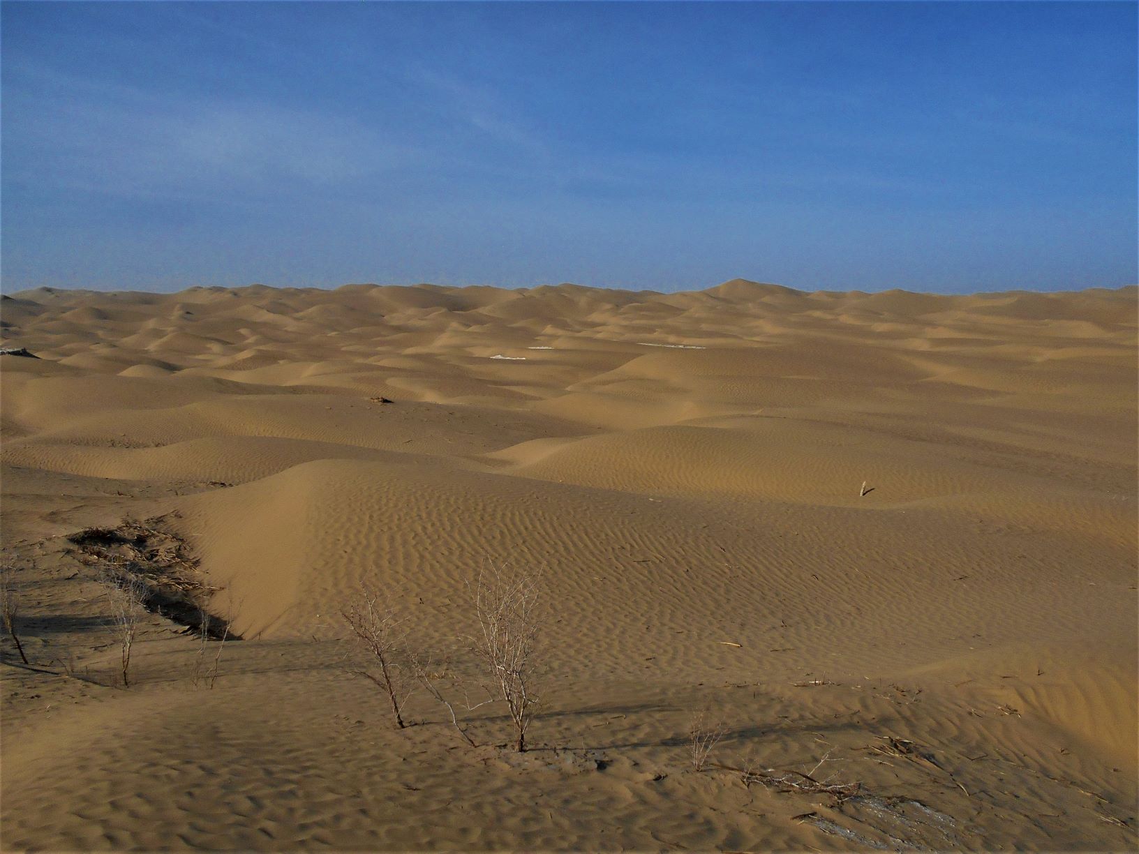 歴史とロマンの宝が埋もれる タクラマカン砂漠 中国 Voyage 世界見聞録