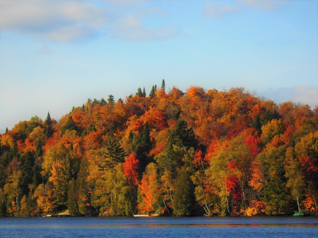 錦秋のメープル街道 カナダが誇る紅葉絶景スポット10選 カナダ Voyage 世界見聞録