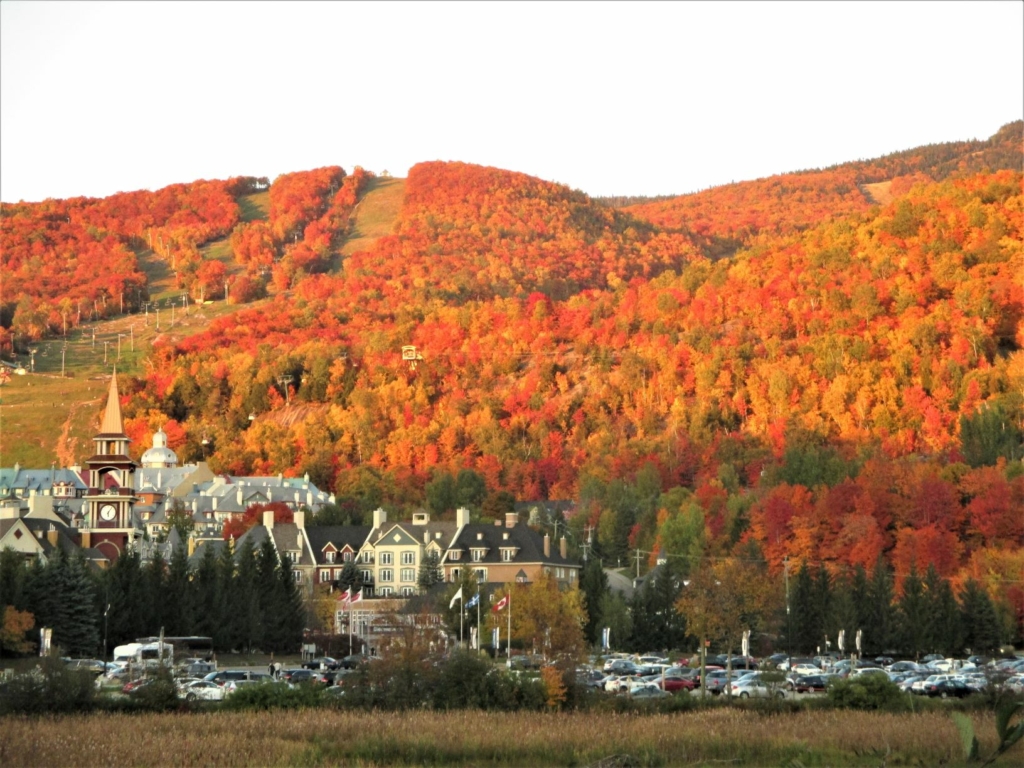 錦秋のメープル街道 カナダが誇る紅葉絶景スポット10選 カナダ Voyage 世界見聞録