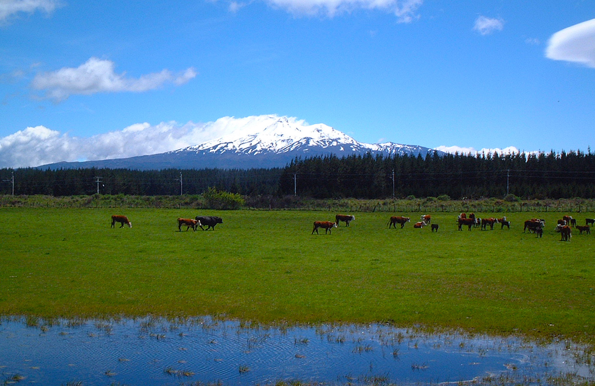 マオリの聖地 火山連なる世界遺産トンガリロ国立公園 ニュージーランド Voyage 世界見聞録