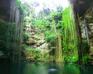 マヤの聖なる泉セノーテ(メキシコ)